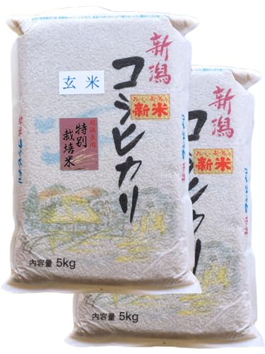 [] V VY n ʍ͔| RVqJ 10kg (5kg×2) VC ߘa7NY