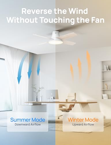 Image of DREO Ceiling Fan, 44 Inch Low Profile Ceiling Fan with Light and Remote, 5CCT LED, 6-Level Dimmable, 6-Speed, Reversible Motor, 22 dB, Timer, Easy-Install, Black Flush Mount for Bedroom