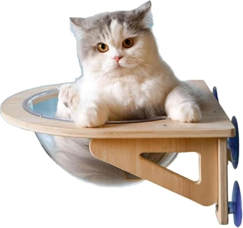 Livmorx LpnbN ybgxbh tȒP lGp ˂  {E  FD ͂ȋz LbgEH[N ǂɌȂ | L̉Ƌ Ǖt nEX JvZ^ p  ^ xe zՎ ȍ\ (i`