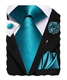 Hi-Tie Mens Teal Silk Ties Woven Jacquard Necktie Pocket Square Cufflinks Lapel Pin Set for Wedding Party