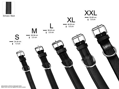 Schnüffelfreunde Halsband für Hunde aus Leder, Hundehalsband für den großen, mittleren und kleinen Hund, Lederhalsband gepolstert, robust (L - 36-45cm, Schwarz)