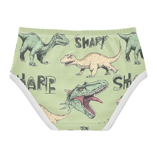 Wusikd Dinosaurs Vintage Girls' Underwear Cotton Sharp Teeth Girls Briefs Soft Toddler Underwear 2T2