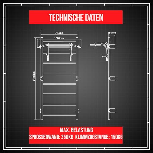 K-Sport: Trainingsset - Sprossenwand mit Dip Station & Klimmzugstange I Kraftstation mit Pull-Up Bar, Dip Stange für anspruchsvolle Workouts, inkl. E-Book