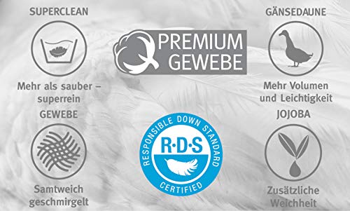 Paradies Galia 100 Daunenbettdecke 155×220 cm – Ganzjahresdecke