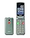 Produktbild Gigaset GL590 GSM - Senioren GSM Mobiltelefon mit SOS-Funktion - einfache Bedienung mit 2,8" Farbdisplay und sprechenden Tasten - Hörgerätkompatibel - Klapphandy ohne Vertrag, titan-silber
