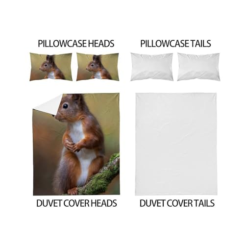 Housse de couette double écureuils 200x200 microfibre et taies - 4