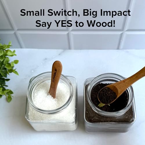 Image of FiABLE Pure Neem Wood Small Spice Spoons | Spoon for Pickle| Masala Spoon | Unpolished Multipurpose Set of 8 Spoons | Naturally Antimicrobial - Small Spoon Set of 8