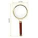 BASUNE 10X Handheld Magnifier, Reading Magnifier Loupe Glasses 10X with Rosewood Handle for Book and Newspaper Reading, Insect and Hobby Observation, Classroom Science (Metal Frame)