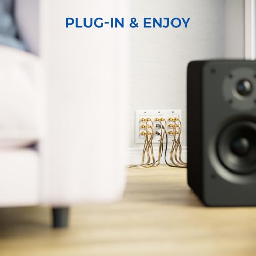 deleyCON Gniazdo Ścienne Gniazdo Przyłączeniowe Głośniki Multimedia Płytka Ścienna z Gniazdami Bananowymi & 1x Gniazdem HDMI do Systemu Surround Sound 7.1 i Subwoofera Kina Domowego