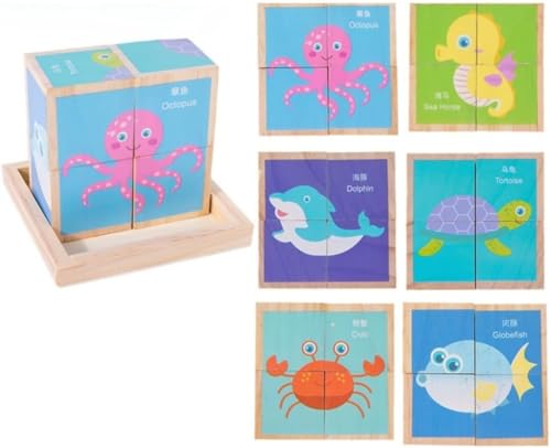 BLINGOOD [rbNL[upY 3DpY ؐςݖ C̓ 4s[X qp mߋ Ԃ C ۈ牀 av[g (C) [sAi]