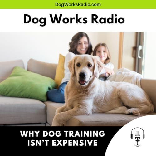 Why Dog Training Isn't Expensive (Compared to Chaos)