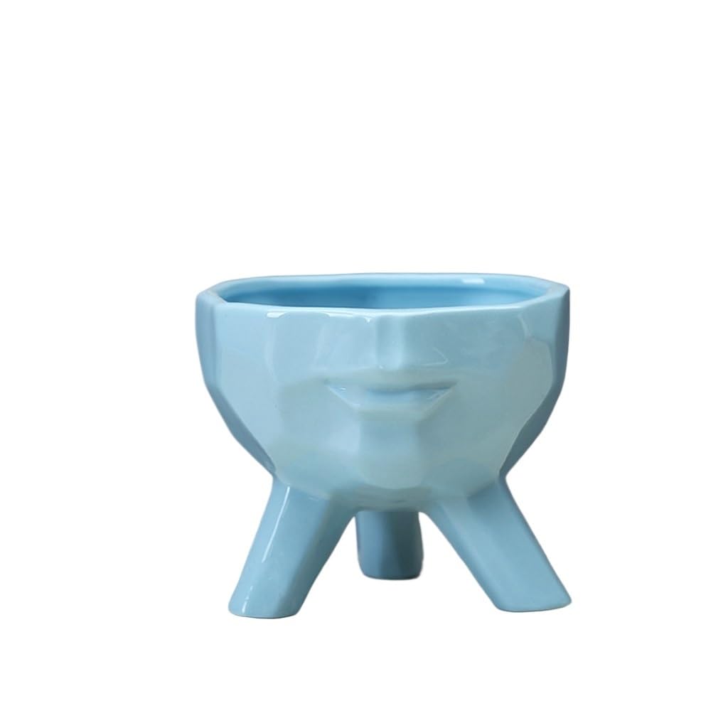 GELASIGE Flower Pots Simple And Creative Succulent Flowerpots, Home Gardening Flowerpots, Plant Ceramic Flowerpot Containers Outdoor Flower Pots(C)