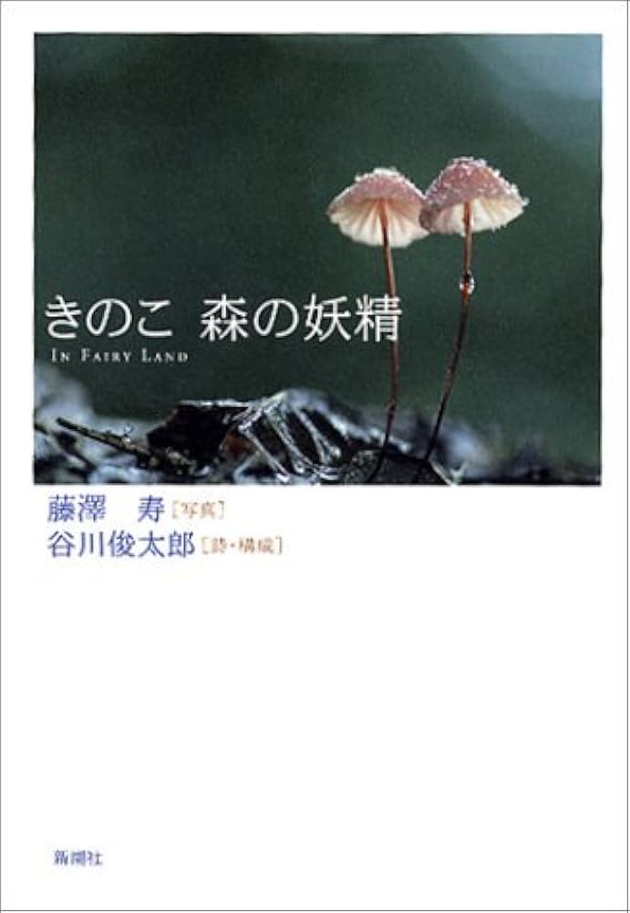 不思議な森 GrTVR0UW4AAxRtt.jpg