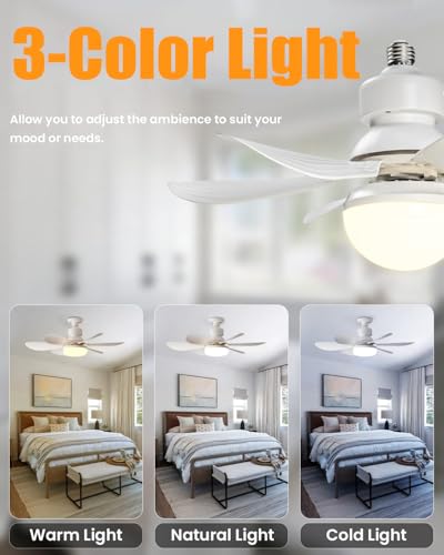 Home Page - Paul - Cosy Home Interiors
