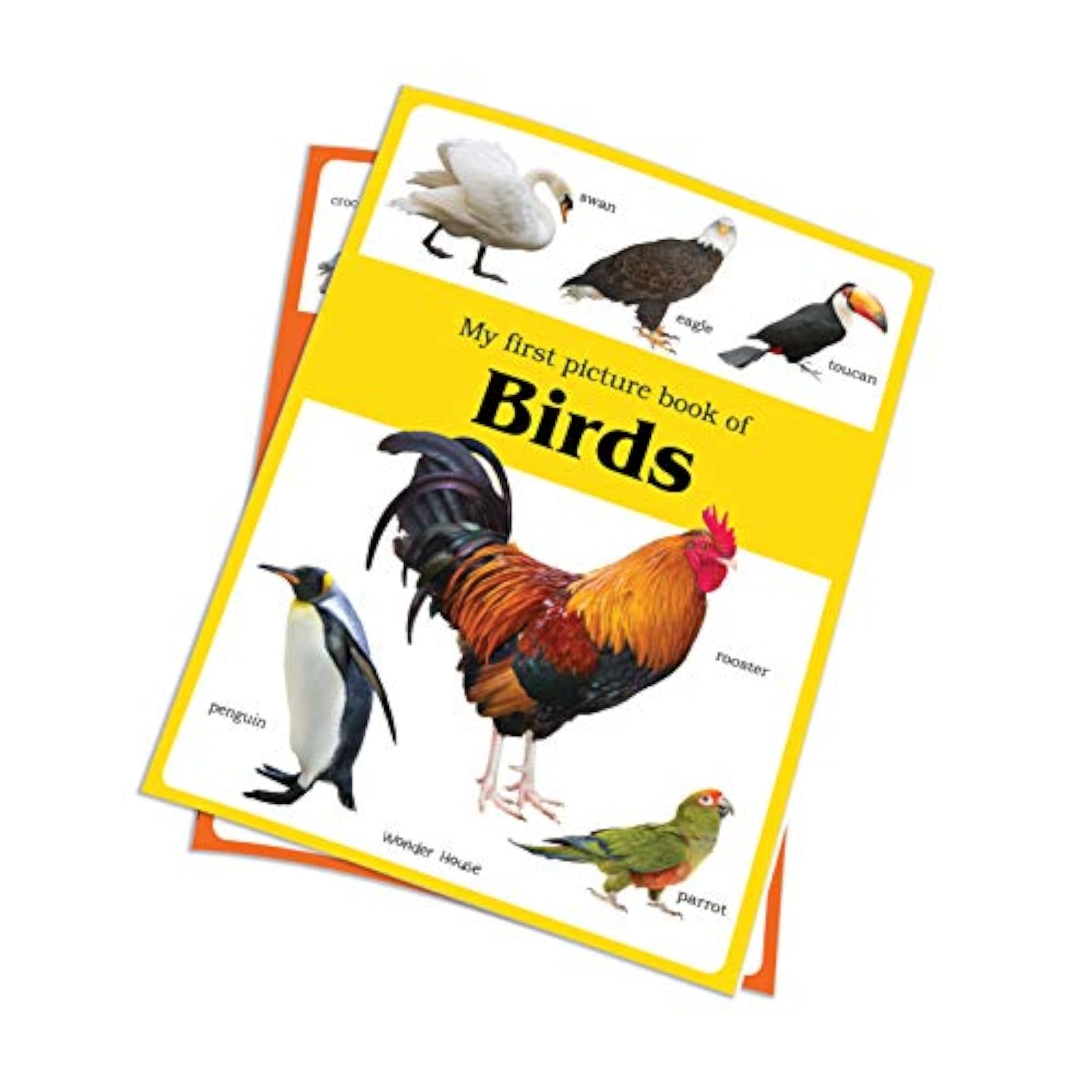 My First Picture Book of Birds