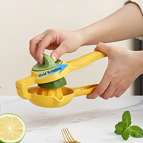 Mejores review On-line Exprimidor fagor - los más vendidos. 9 Imagen adicional