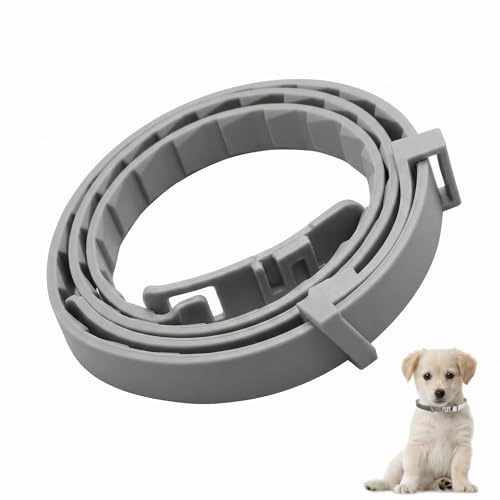 Collar Antiparasitario Perros 62cm Ajustable, Collar Antipulgas y Garrapatas para Perros Grandes, Medianos y Pequeños, Protección de Larga Duración e Impermeable, Color Gris