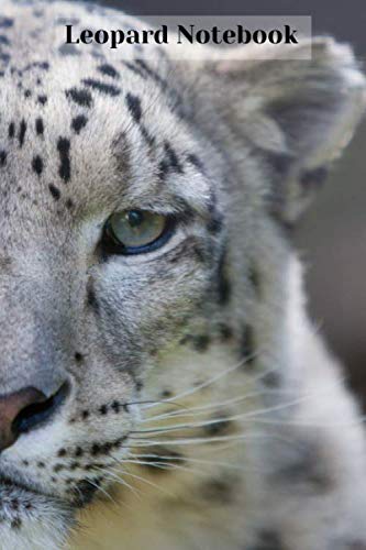 Snow Leopard Notebook: Small lined Snow Leopard notebook - Travel Journal to write in - 120 pages - 6"x9"
