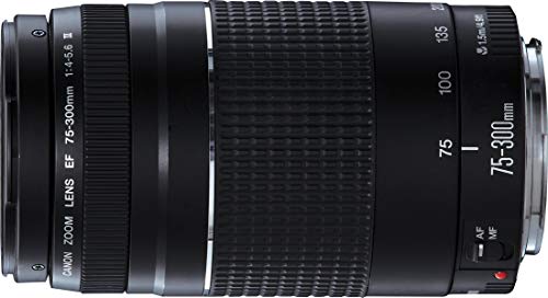 Canon - EF 75-300mm f/4.0-5.6 III Objectif (Reconditionné)