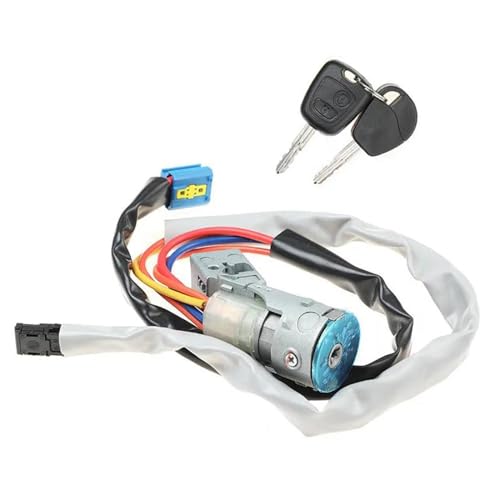 Cilindro de cerradura de encendido con dos llaves para una sustitución fluida en tu Partner 2