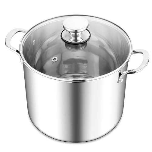 Herogo Large Stainless Steel Stock Pot 10L 25cm Stock Pot with Visible Lid Tri-Ply Cooking Pot with Multiple Heating Sources Heavy Duty in Stewing Mirror Polished Soup Pot for Easy to Clean