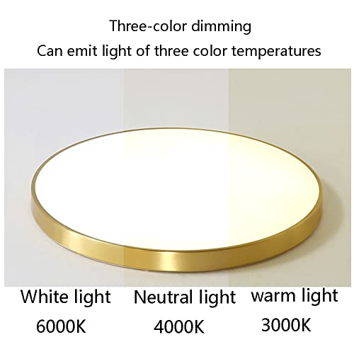 Plafonnier très lumineux à intensité variable pour votre intérieur