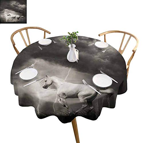 Wshelkgc AC�R���o�[�^�[110V 220V����DC 48V MAX 4A 200W�A�d�����艻�g�����X�X�C�b�`���O�d��