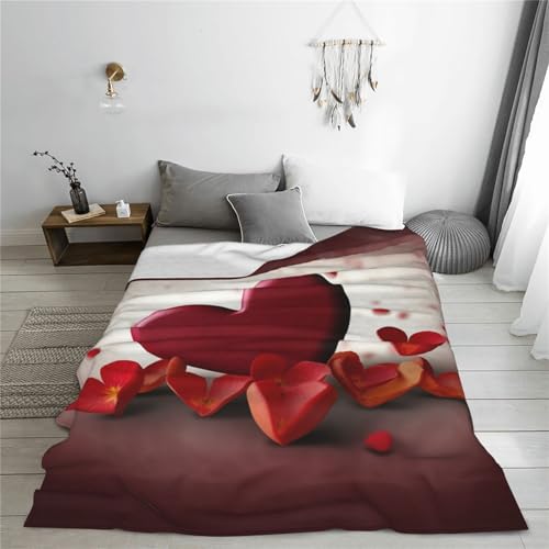 Couverture flanelle microfibre douce jeté de lit léger canapé 4 saisons - 7
