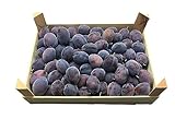 BAMELO Zwetschgen frische Zwetschen Kiste 6 Kg