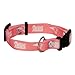 Hunter MFG New England Patriots Pink Dog Collar, Small