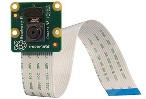 RASPBERRY Pi Western New York Heritage Institute Camera Module V2 (9132664), coloured, Klein