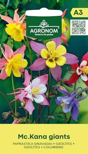 AGRONOM | Aquilegia - MC.KANA GIANTS | Semi di fiori | Fiori perenni, alti fino a 80 cm, con fiori bicolori di 5 cm di diametro e steli ramificati | Semi di piante | Semi da giardino |1 confezione