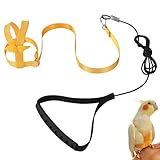 Imbracatura per pappagallo regolabile per animali domestici e uccelli guinzaglio per attività all'aria aperta corda da addestramento cinghia elastica anti-morso per pappagalli cacatos ara