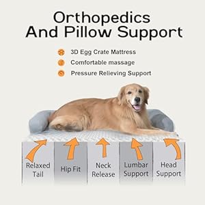   Large-Dog-Bed-Orthopedic-Washable-Beds-Bolster-XL-XLarge-Big-Dogs-Memory-Foam-Couch-Sofa-Waterproof-with-Removable-Cover