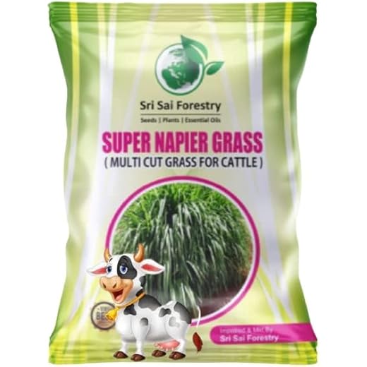 Multi Cut Grass Seeds - Fast Growing