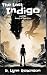 The Last Indigo and the Beast of Epicerra: A regular-boy-turned-Hero Story