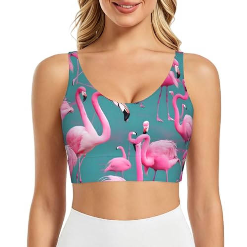 PHAYAH A Flock of Flamencos - Sujetadores deportivos para mujer, chaleco de yoga, almohadillas extraíbles para ejercicio, fitness, pilates, danza, Negro, M