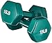 AmazonBasics Vinyl 15 Pound Dumbbells - Set of 2, Teal