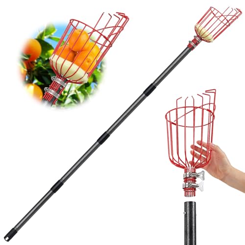13FT Fruit Picker, Long Reach Fruit Picker Tool with Basket & Adjustable Stainless Steel Handle, Fruit Grabber for Apple Mango Avocado Orange Lemon, Easy Assembly & No Ladder Needed for Tall Tree