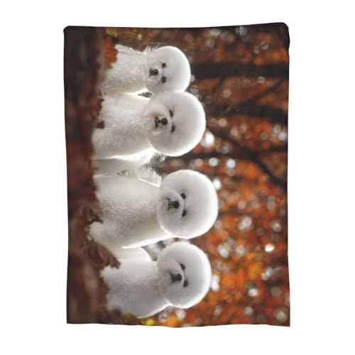 ѕz rVEt[[  Aj Ђ| y  uPbg tl 􂦂 ÓdCh~ g _炩 Ȃ߂炩ȔG lGKp 100cm×125cm