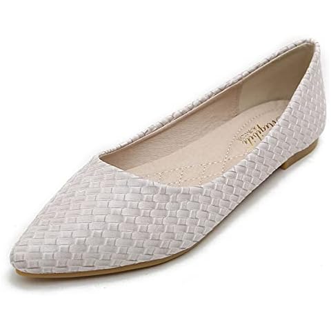 WILLFUN Women’s Pointed-Toe Ballet Flats Slip On Comfort Loafers for Lady Classic Walking Shoes A/Beige Cover