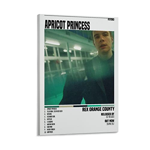 Toile Rex Orange County Apricot Princess 1, le cadeau idéal pour fan de musique