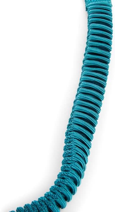 EveryYay by Petco Settin' the Pace Running Belt & Leash Set for Dogs Teal 34-in Long 1.5-in Wide