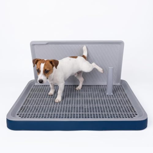 Indoor Dog Potty Tray with Pee Wall