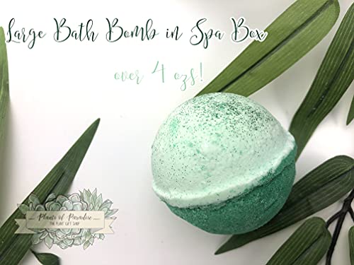 Ga978Spa - Life Would Succ Without You Soap Bath Bomb Candle Bath Salts Succulent Themed Women Gift Box Set #TOP2