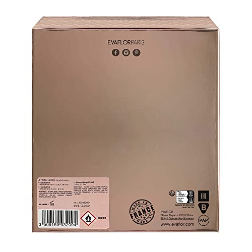 EVAFLORPARIS Je T'Aime A La Folie Coffret pour Femme Eau de Parfum 100 ml + Déodorant 150 ml + Vapo de Sac 12 ml 1 Unité - Image 3