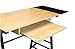 Calico Designs Convertible Art Drawing/Computer Desk for Kids in Ashwood/Graphite 51240