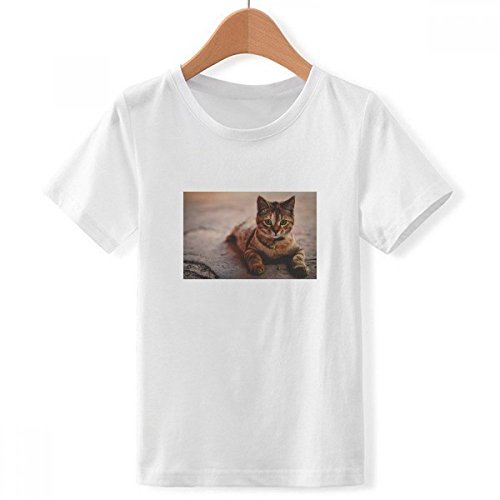 T-Shirt Chat Calme Garçon Blanc X-Grand pour Enfant Passionné d'Animaux