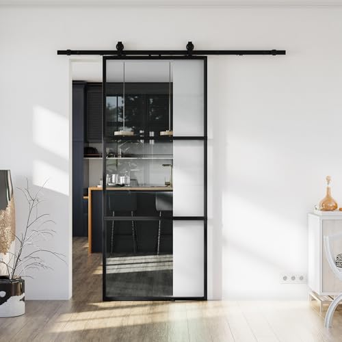 Metal Glass Sliding Barn