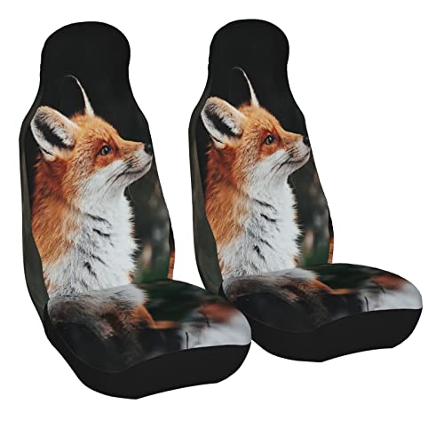 Couvre sieges lot de 2 renard roux universels et grand confort pour auto
